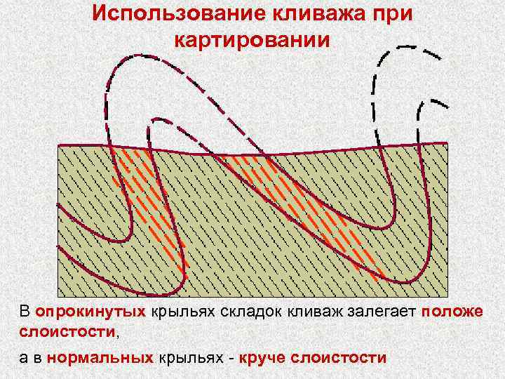 Использование кливажа при картировании В опрокинутых крыльях складок кливаж залегает положе слоистости, а в