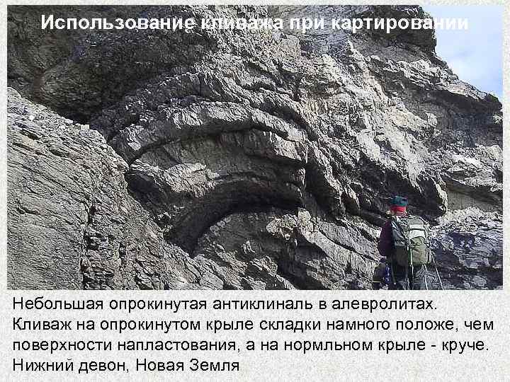 Использование кливажа при картировании Небольшая опрокинутая антиклиналь в алевролитах. Кливаж на опрокинутом крыле складки