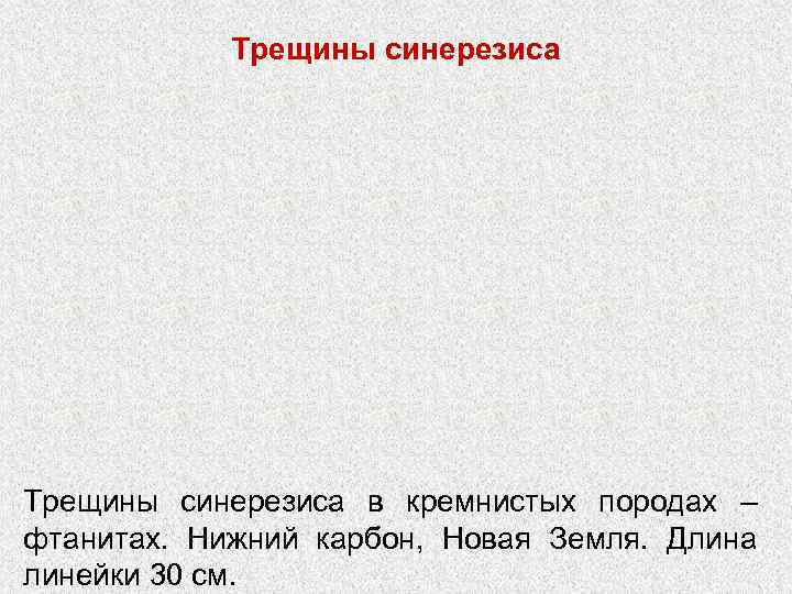 Трещины синерезиса в кремнистых породах – фтанитах. Нижний карбон, Новая Земля. Длина линейки 30