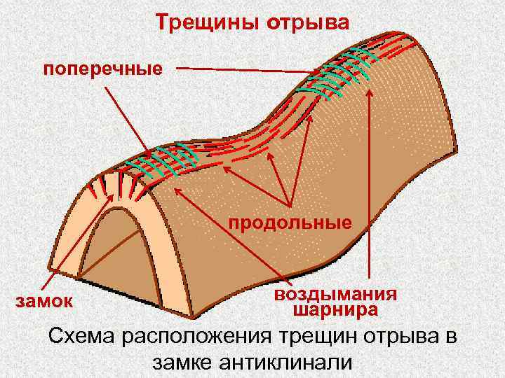 Трещины отрыва поперечные продольные замок воздымания шарнира Схема расположения трещин отрыва в замке антиклинали