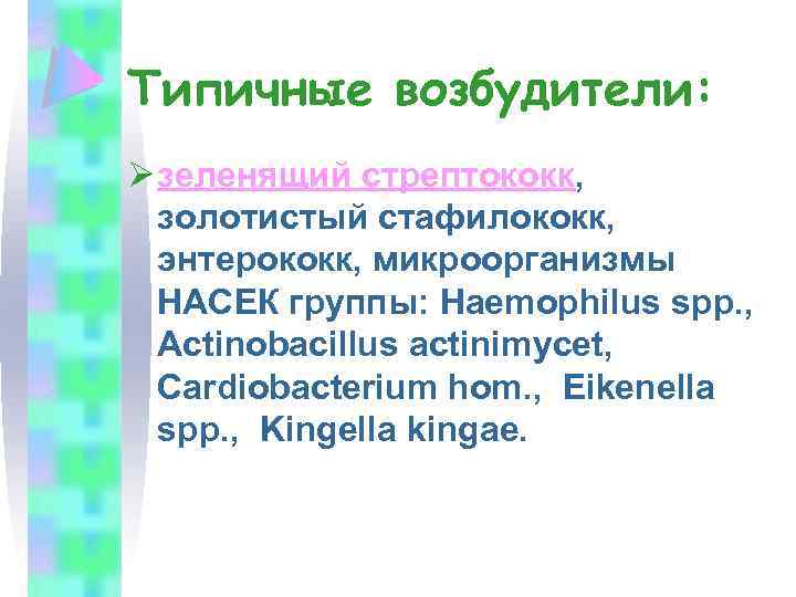 Типичные возбудители: Ø зеленящий стрептококк, золотистый стафилококк, энтерококк, микроорганизмы НАСЕК группы: Haemophilus spp. ,