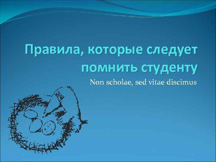 Правила, которые следует помнить студенту Non scholae, sed vitae discimus 