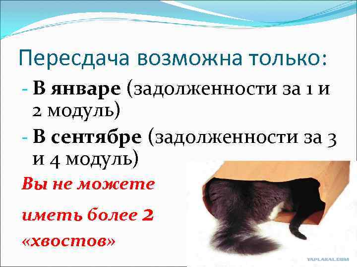 Пересдача возможна только: - В январе (задолженности за 1 и 2 модуль) - В