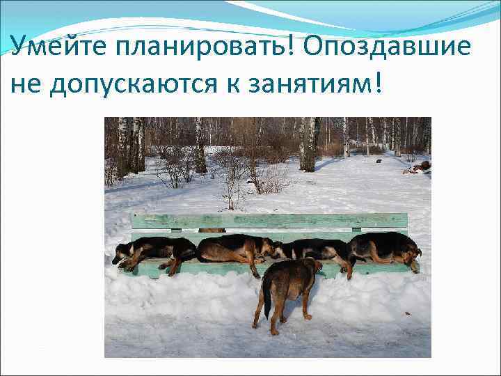 Умейте планировать! Опоздавшие не допускаются к занятиям! 