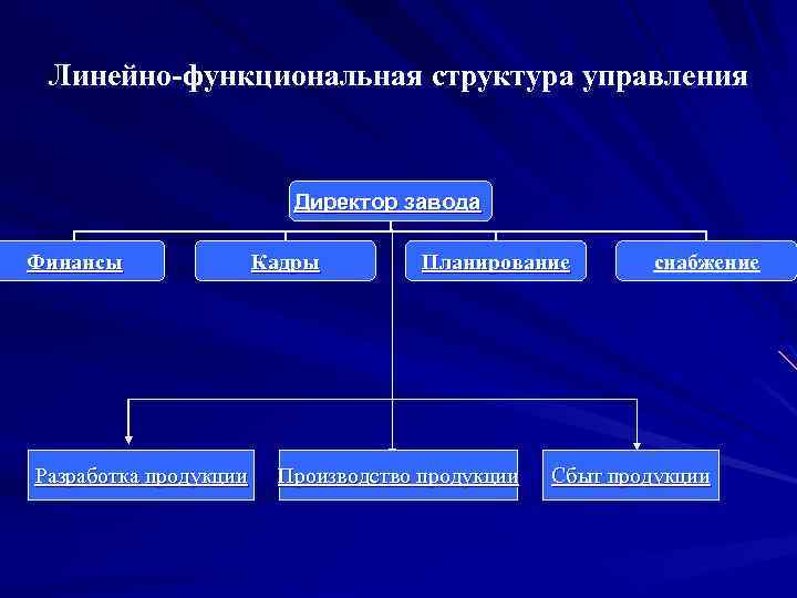 Функциональная структура управления