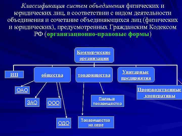 Классификация систем объединения физических и юридических лиц, в соответствии с видом деятельности объединения и