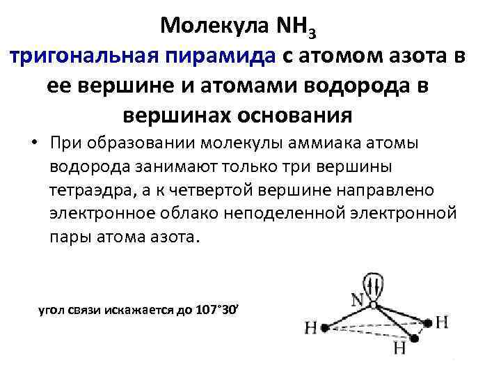 Mолекула NH 3 тригональная пирамида с атомом азота в ее вершине и атомами водорода