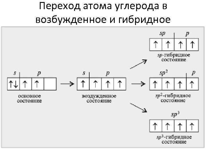 Формула атома углерода. Строение углерода в возбужденном состоянии. Строение атома углерода возбужденное. Основное и возбужденное состояние атома углерода. Основное и возбуждённое состояния атома.