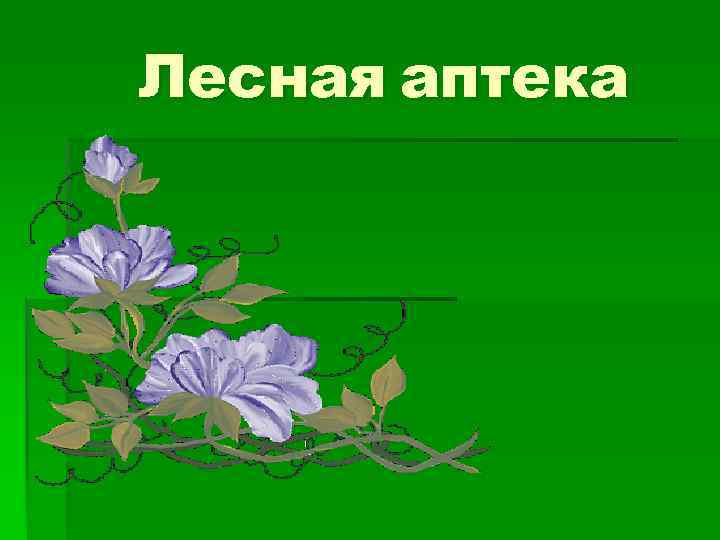 Лесная аптека 