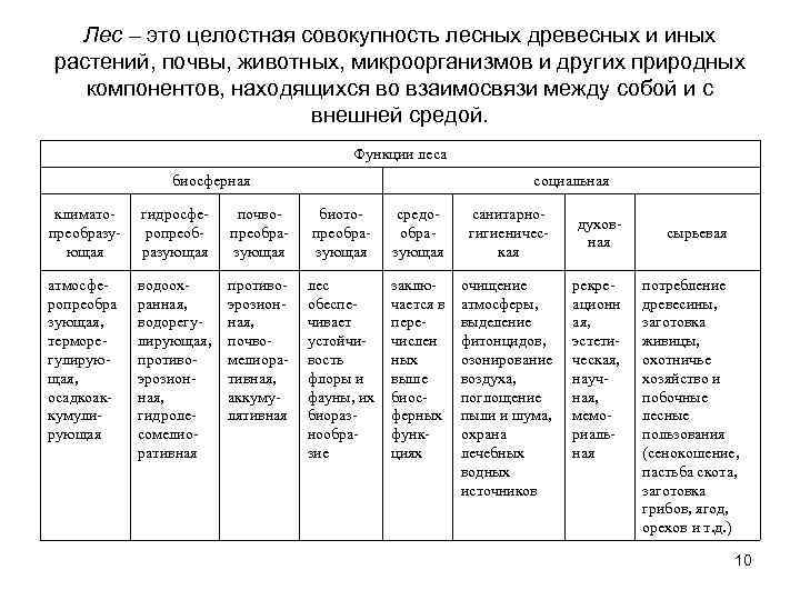 Лес – это целостная совокупность лесных древесных и иных растений, почвы, животных, микроорганизмов и