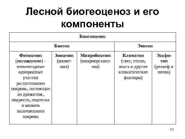 Лесной биогеоценоз и его компоненты Биогеоценоз Биотоп Фитоценоз (насаждение) элементарные однородные участки растительного покрова,