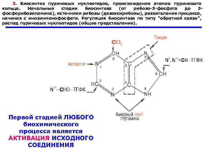 Источники нуклеотидов. Источники пуринового кольца биохимия. Схему происхождения атомов пуринового кольца. Источники атомов углерода и азота пуринового кольца.. Схема синтеза пуринового кольца.