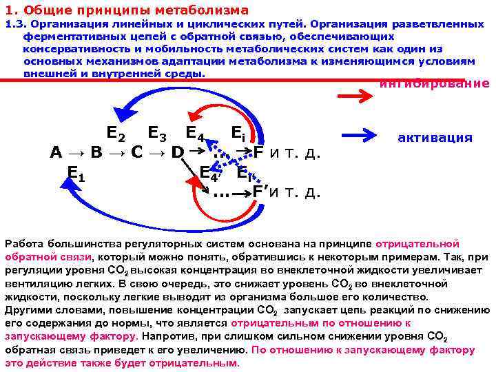 Примеры метаболизма. Метаболические пути биохимия. Общий путь катаболизма биохимия. Специфические и Общие пути катаболизма. Основные функции метаболизма биохимия.