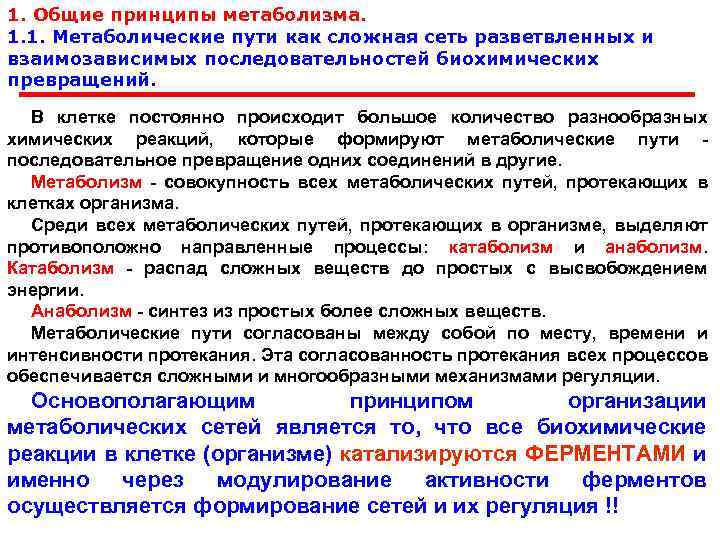 1. Общие принципы метаболизма. 1. 1. Метаболические пути как сложная сеть разветвленных и взаимозависимых