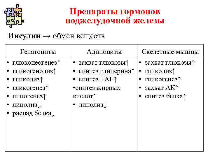 Препараты гормонов поджелудочной железы фармакология презентация