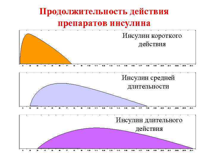 Продолжительность действия препаратов инсулина Инсулин короткого действия Инсулин средней длительности Инсулин длительного действия 