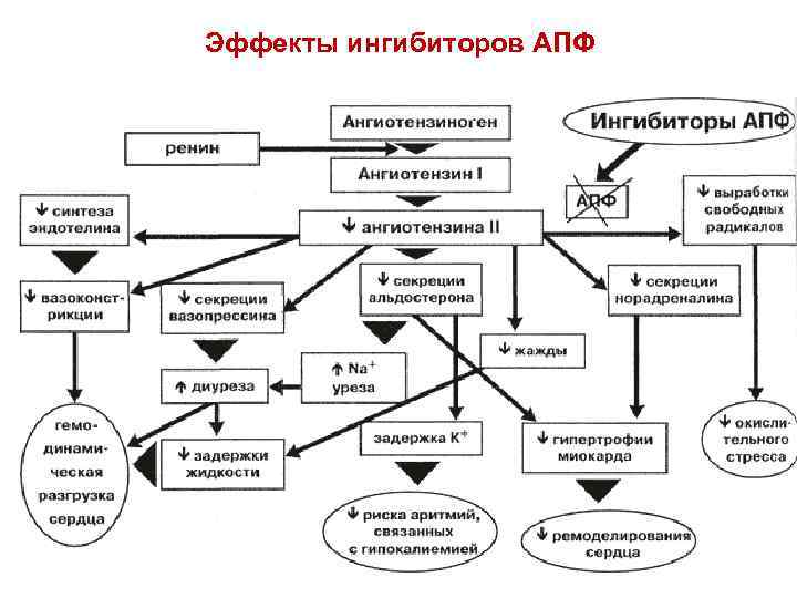 Совместимость гипотензивных препаратов схема