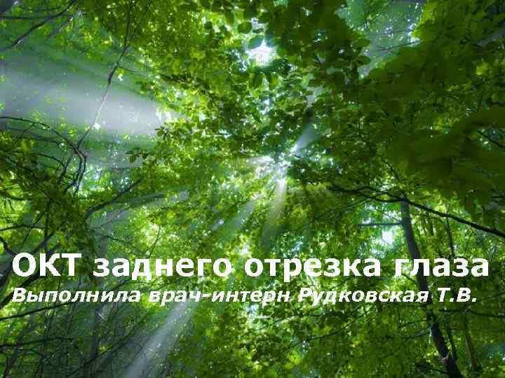 ОКТ заднего отрезка глаза Выполнила врач-интерн Рудковская Т. В. Free Powerpoint Templates Page 1