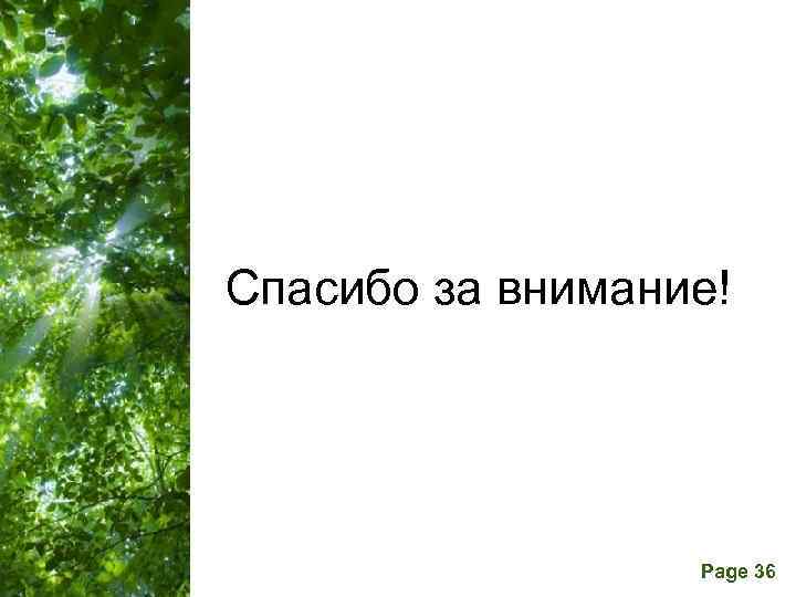  Спасибо за внимание! Free Powerpoint Templates Page 36 