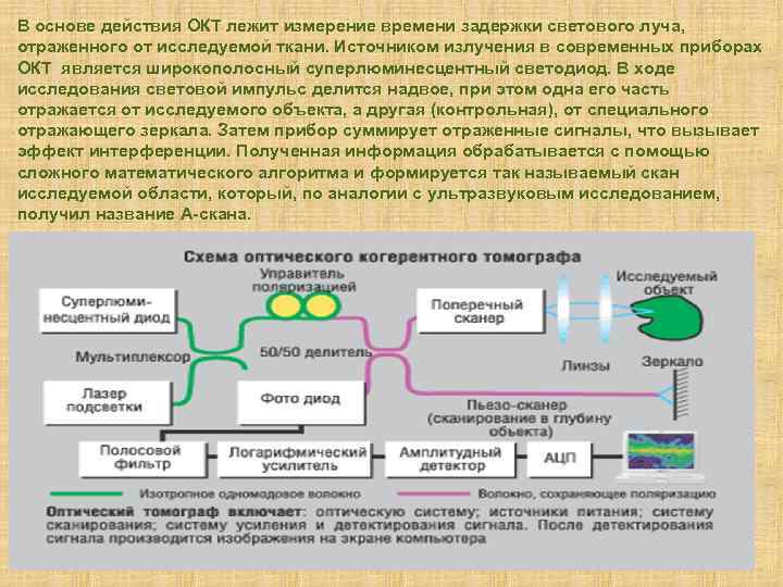 В основе действия ОКТ лежит измерение времени задержки светового луча, отраженного от исследуемой ткани.