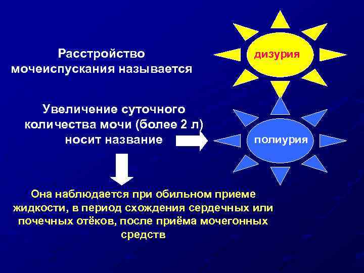 Расстройство мочеиспускания называется Увеличение суточного количества мочи (более 2 л) носит название дизурия полиурия