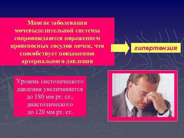 Многие заболевания мочевыделительной системы сопровождаются поражением кровеносных сосудов почек, что способствует повышению артериального давления