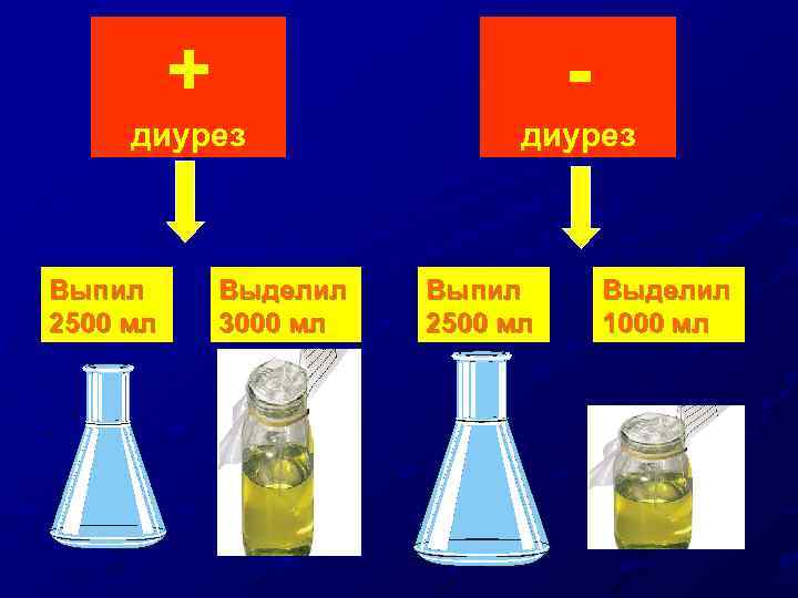 + - диурез Выпил 2500 мл Выделил 3000 мл Выпил 2500 мл Выделил 1000