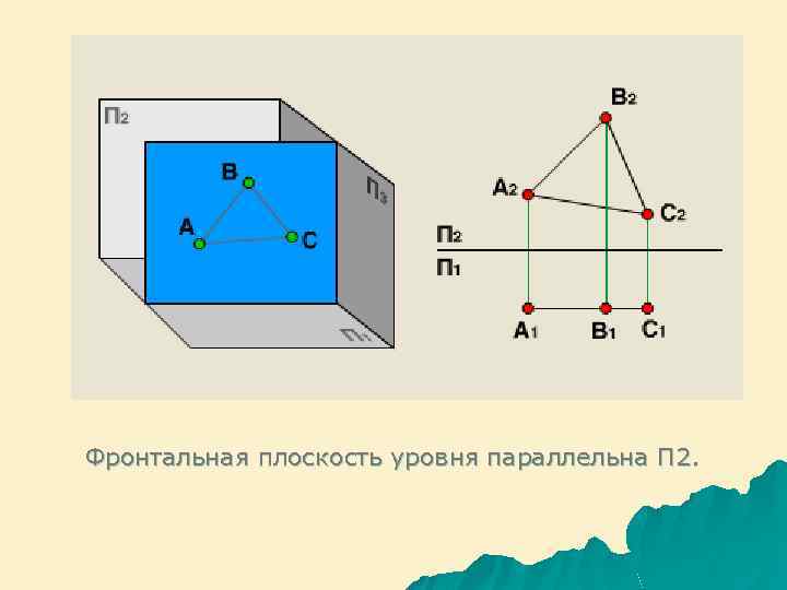 Фронтальная плоскость уровня параллельна П 2. 