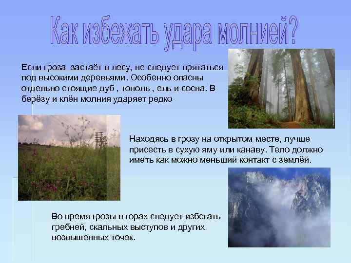 Если гроза застаёт в лесу, не следует прятаться под высокими деревьями. Особенно опасны отдельно