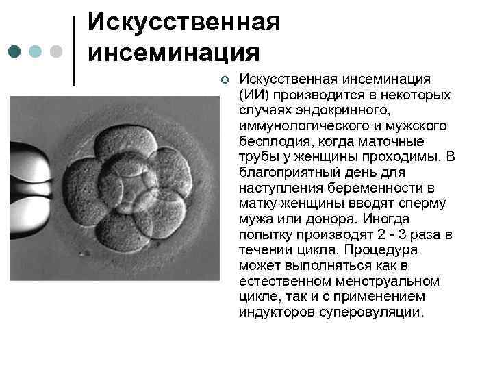 Искусственная инсеминация ¢ Искусственная инсеминация (ИИ) производится в некоторых случаях эндокринного, иммунологического и мужского