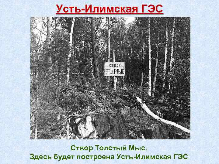 Усть-Илимская ГЭС Створ Толстый Мыс. Здесь будет построена Усть-Илимская ГЭС 