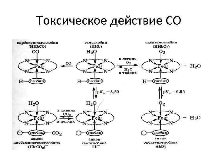Токсическое действие СО 