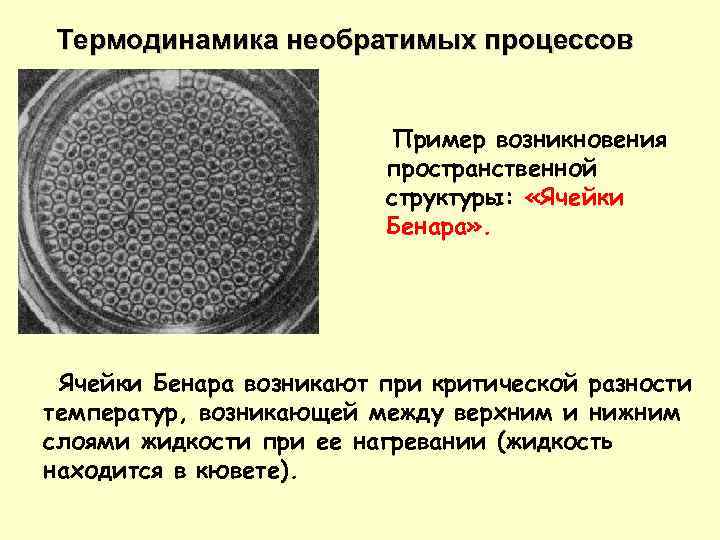 Термодинамика необратимых процессов Пример возникновения пространственной структуры: «Ячейки Бенара» . Ячейки Бенара возникают при
