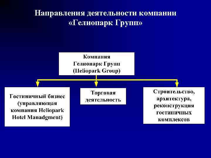 Направления деятельности компании «Гелиопарк Групп» 