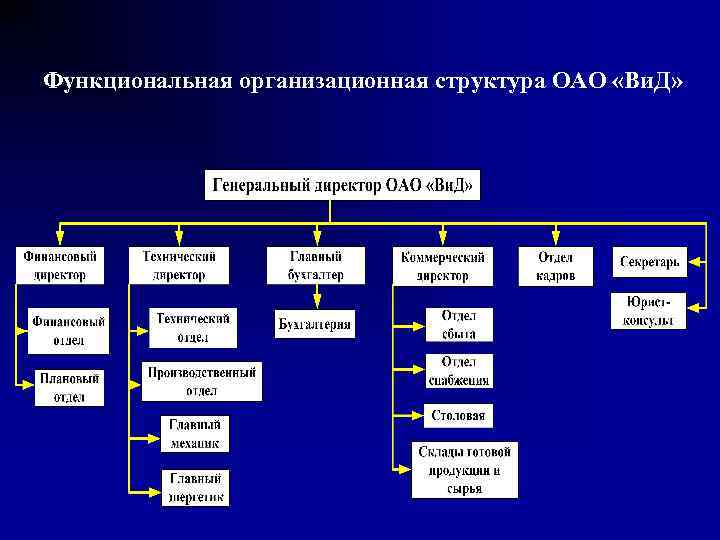 Функциональная организационная структура ОАО «Ви. Д» 