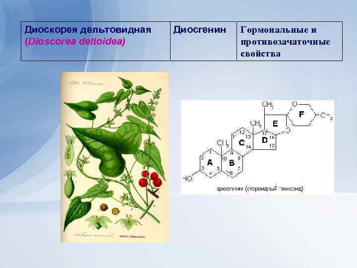 Диоскорея дельтовидная (Dioscorea deltoidea) Диосгенин Гормональные и противозачаточные свойства 