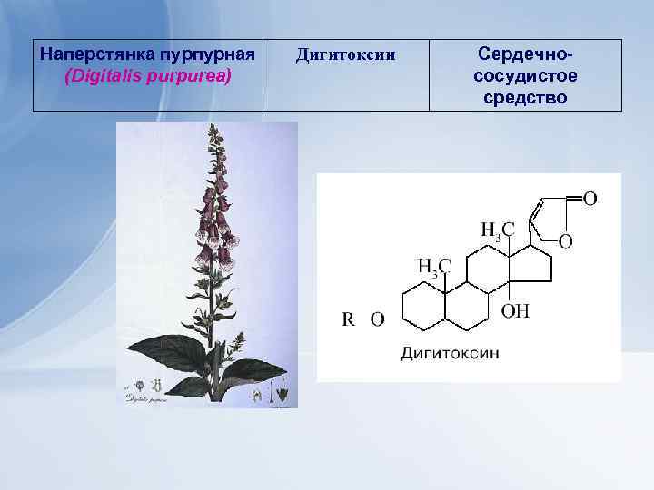 Наперстянка пурпурная (Digitalis purpurea) Дигитоксин Сердечнососудистое средство 