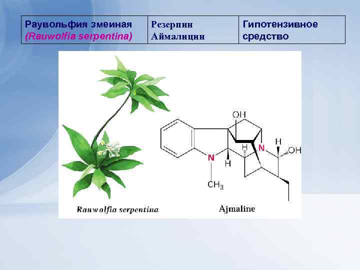 Раувольфия змеиная (Rauwolfia serpentina) Резерпин Аймалицин Гипотензивное средство 