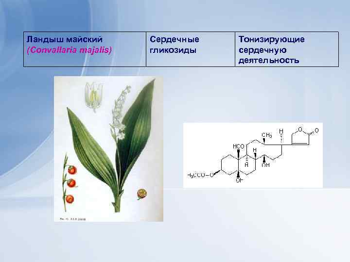 Ландыш майский (Convallaria majalis) Сердечные гликозиды Тонизирующие сердечную деятельность 