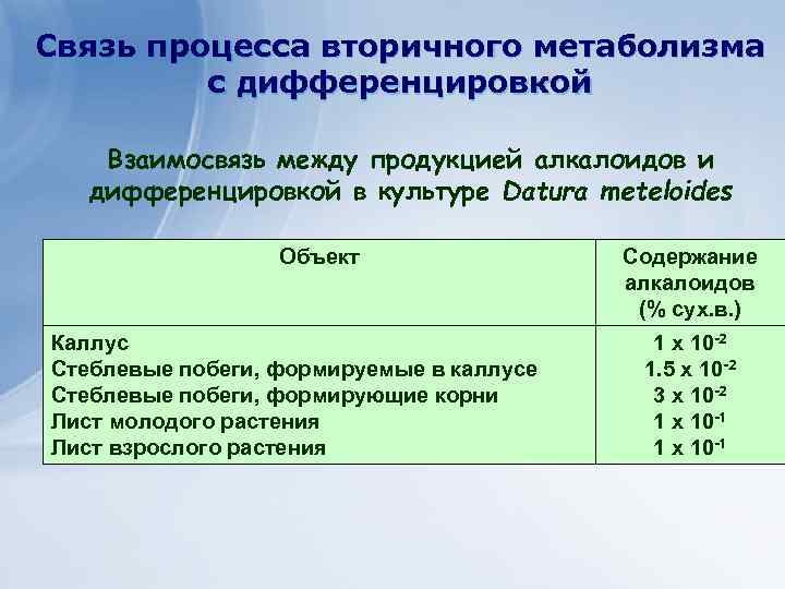 Связь процесса вторичного метаболизма с дифференцировкой Взаимосвязь между продукцией алкалоидов и дифференцировкой в культуре