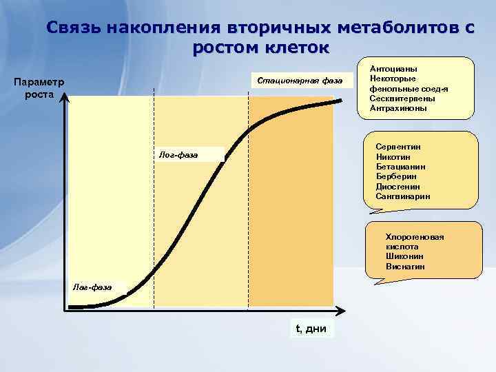 Связь накопления вторичных метаболитов с ростом клеток Стационарная фаза Параметр роста Антоцианы Некоторые фенольные