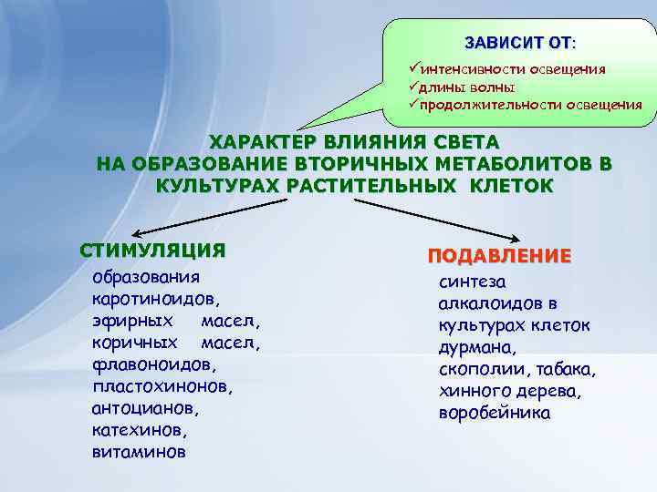 Клеточные технологии для получения ЗАВИСИТ ОТ: экономически важных веществ интенсивности освещения длины волны продолжительности