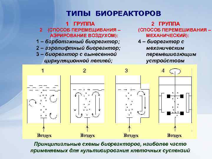 Какая из описанных ниже схем эксперимента позволит наиболее достоверно определить эффективность