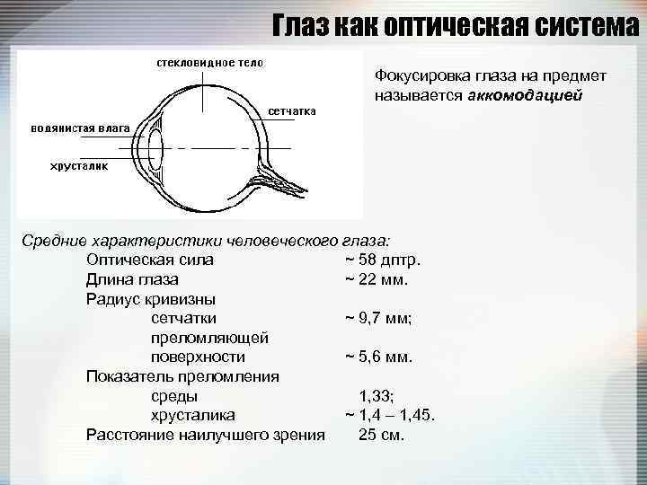 Глаз как оптическая система Фокусировка глаза на предмет называется аккомодацией Средние характеристики человеческого глаза: