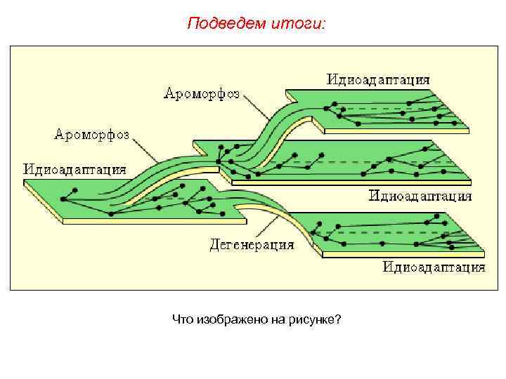 Подведем итоги: Что изображено на рисунке? 