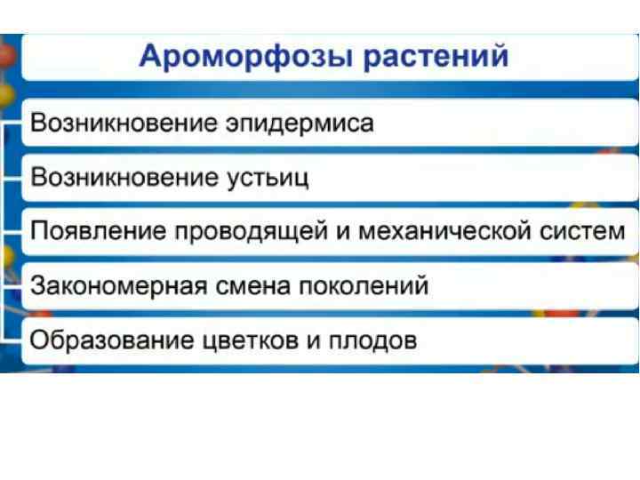 Появление ароморфозов. Основные ароморфозы растений. Основные ароморфозы в эволюции растений таблица. Основные ароморфозы растений и животных. Примеры ароморфоза у растений.