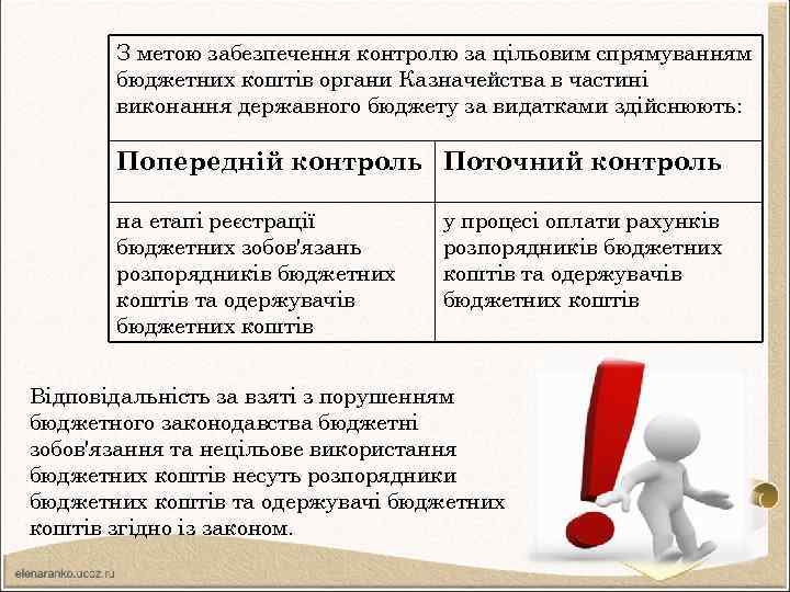 З метою забезпечення контролю за цільовим спрямуванням бюджетних коштів органи Казначейства в частині виконання
