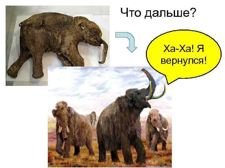 Что дальше? Ха-Ха! Я вернулся! 
