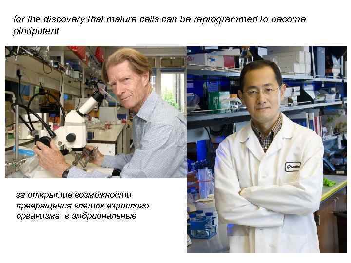 for the discovery that mature cells can be reprogrammed to become pluripotent за открытие