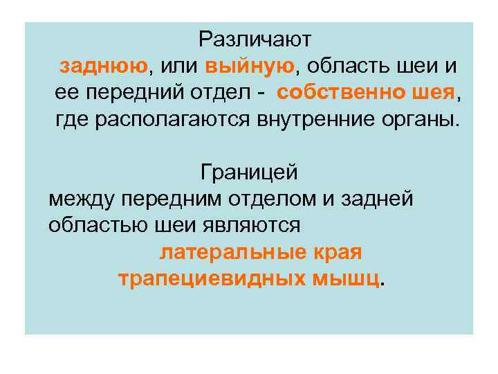 Различают заднюю, или выйную, область шеи и ее передний отдел - собственно шея, где